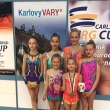 Karlovarsk pohr - TopGym Karlovy Vary