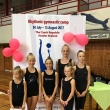 Mezinrodn soustedn