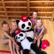 Tborsk pohr - GSK Tbor
