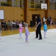 Moudr� sova, �st� nad Labem 8.6.2013