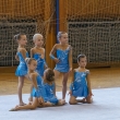 0. kategorie T.J. Sokol Plze� IV