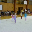 Moudr� sova, �st� nad Labem 8.6.2013