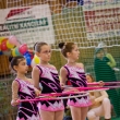 II. kategorie TJ Sokol Praha Kr�lovsk� Vinohrady - U��ci