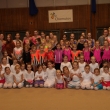 V�no�n� ko�, Chomutov 20.12.2016
