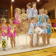 Spole�n� skladba 0. kategorie si za sv�j v�kon od rozhod��ch vyslou�ila st��brn� medaile, Oblastn� p�ebor spole�n�ch skladeb, �st� nad Labem 13. 11.