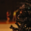 V�no�n� ko�, Chomutov 20.12.2016