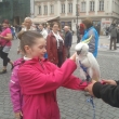 Lucie Beckov� a papou�ek kakadu, v�let p�i Bohemka cup, Praha 1.5.2013